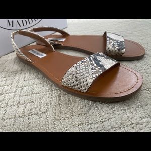 NWT STEVE MADDEN ALINA SNAKE SANDAL SIZE 10